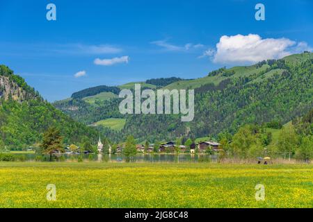 Österreich, Tirol, Kaiserwinkel, Walchsee, Frühlingswiese und Dorfblick Stockfoto