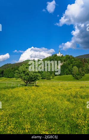 Österreich, Tirol, Unterinntal, Ebbs, Frühlingslandschaft mit Kirche St. Nikolaus Stockfoto