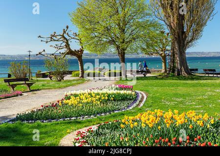 Uferpark im Frühjahr, Hagnau am Bodensee, Oberschwaben, Baden-Württemberg, Deutschland Stockfoto