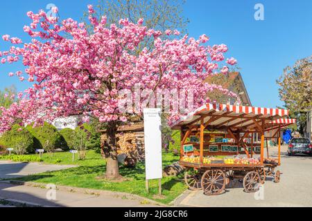Verkaufsstand mit Obst, Wasserburg am Bodensee, Oberschwaben, Bayern, Deutschland Stockfoto