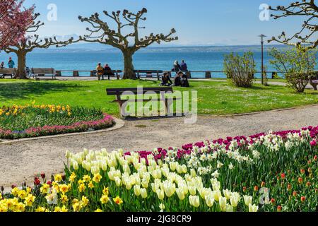 Uferpark im Frühjahr, Hagnau am Bodensee, Oberschwaben, Baden-Württemberg, Deutschland Stockfoto