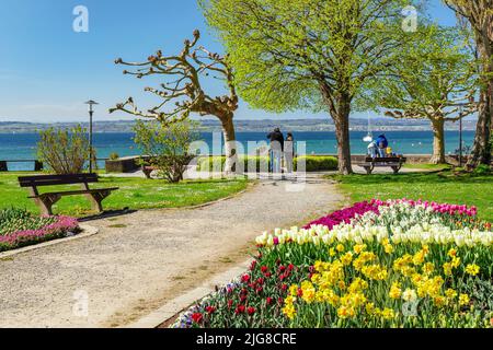 Uferpark im Frühjahr, Hagnau am Bodensee, Oberschwaben, Baden-Württemberg, Deutschland Stockfoto