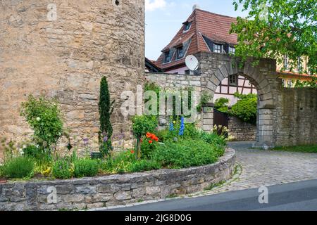 Die historische Altstadt von Sommerhausen in Unterfranken am Main mit malerischen Gebäuden innerhalb der Stadtmauer Stockfoto