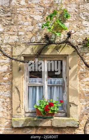 Die historische Altstadt von Sommerach am Main in Unterfranken mit malerischen Gebäuden innerhalb der Stadtmauer Stockfoto