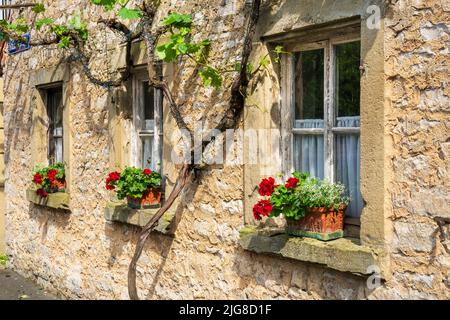 Die historische Altstadt von Sommerach am Main in Unterfranken mit malerischen Gebäuden innerhalb der Stadtmauer Stockfoto