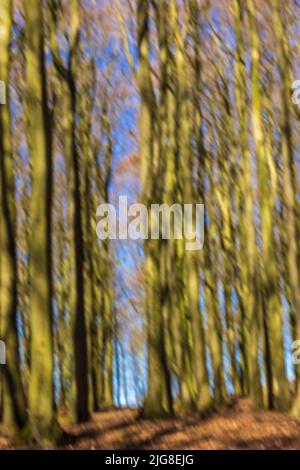 Verwackelte Gesamtstruktur aufgrund von Bewegungsunschärfen, Hintergrundbild Stockfoto