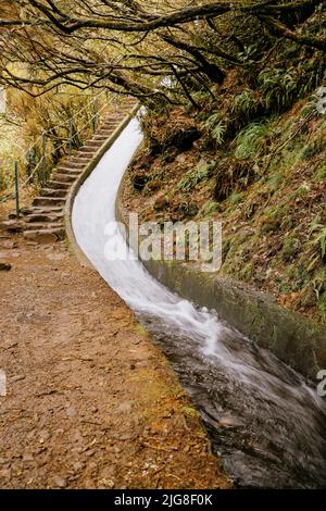 Eine vertikale Aufnahme eines fließenden geraden Flusses in einem Wald mit Treppen in Madeira, Portugal Stockfoto