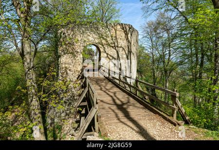 Die untere Diepoldsburg, besser bekannt als die Rauber Burgruine. Stockfoto