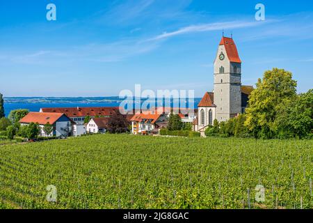 Weinberg bei Hagnau am Bodensee. Pfarrkirche St. John Baptist. Stockfoto