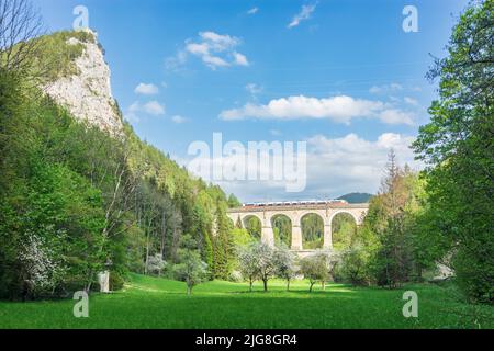 Breitenstein, Semmeringbahn, Viadukt Kalte-Rinne-Viadukt, Regionalzug von ÖBB, Felswand Polleroswand, blühende Bäume in den Wiener Alpen, Niederösterreich, Österreich Stockfoto