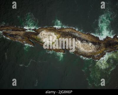 Schießen von einer Drohne. Eine bizarre Insel mitten im Meer. Wellen waschen die Insel von allen Seiten. Türkisfarbenes Wasser und weiße, schäumende Wellen. Beaut Stockfoto