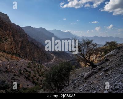 Snake Canyon in den Bergen des Gebirges der Ijjar, Oman. Stockfoto