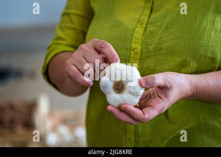 Produktion von schwarzem Knoblauch in die, Frankreich Stockfoto