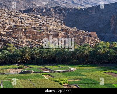 Am Eingang zum Wadi Ghul im Hayar Gebirge, Oman. Stockfoto