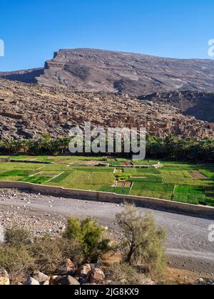 Am Eingang zum Wadi Ghul im Hayar Gebirge, Oman. Stockfoto