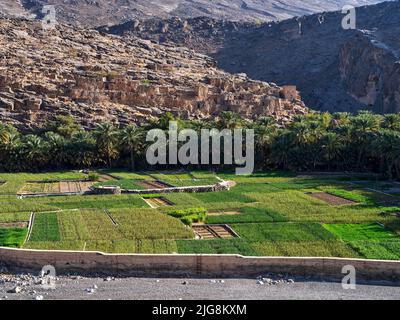 Am Eingang zum Wadi Ghul im Hayar Gebirge, Oman. Stockfoto