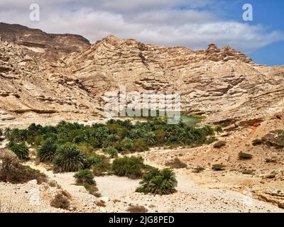 Entlang der Küstenstraße 42, zwischen Hasik und Ash Shuwaymiyyah, Oman. Stockfoto