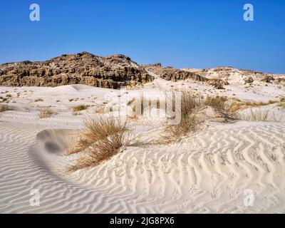 Dünen in der Nähe von Al Khaluf, Oman. Stockfoto