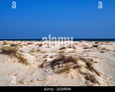 Dünen in der Nähe von Al Khaluf, Oman. Stockfoto