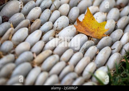 Weißer Stein und Blatt, Herbstkonzept Stockfoto