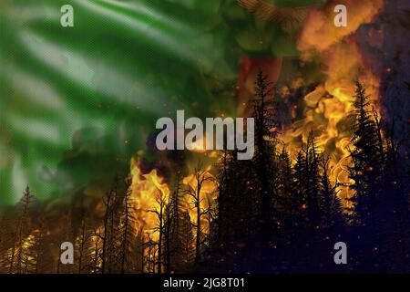 Waldbrandbekämpfungskonzept, Naturkatastrophe - Höllenfeuer im Wald auf Hintergrund der Flagge von Sambia - 3D Darstellung der Natur Stockfoto