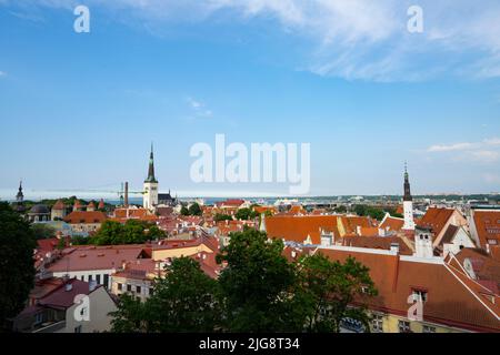 Tallinn, Estland. Juli 2022. Der Panoramablick auf die Stadt von der Aussichtsplattform Kohtuotsa im Stadtzentrum Stockfoto