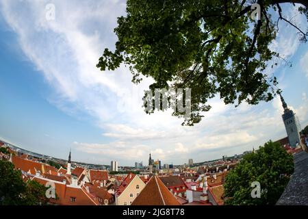 Tallinn, Estland. Juli 2022. Die Fischauge Panoramablick auf die Stadt von der Aussichtsplattform Kohtuotsa im Stadtzentrum Stockfoto