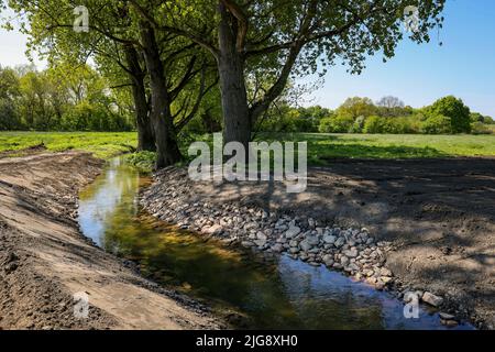 Renaturierter Gecksbach, Hochwasserschutz an der Lippe, Haltern, Nordrhein-Westfalen, Deutschland Stockfoto