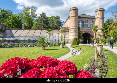 Deutschland, Baden-Württemberg, Karlsruhe, im Botanischen Garten. Stockfoto