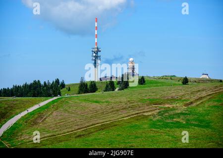 Deutschland, Baden-Württemberg, Schwarzwald, Feldberg, Blick auf den Feldsee. Stockfoto