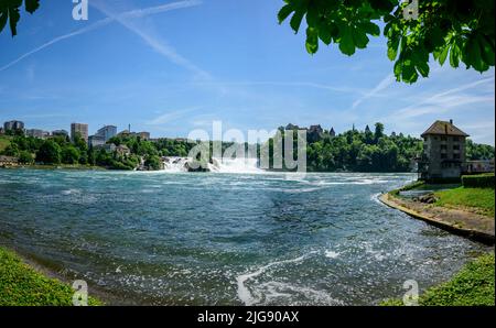 Schweiz, Schaffhausen, Rheinfall bei Schaffhausen. Stockfoto