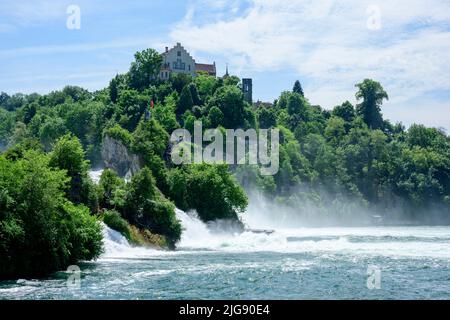 Schweiz, Schaffhausen, Rheinfall bei Schaffhausen. Stockfoto