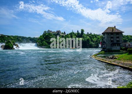 Schweiz, Schaffhausen, Rheinfall bei Schaffhausen. Stockfoto