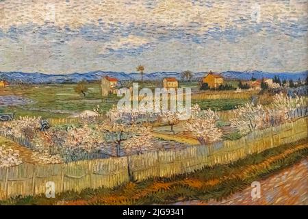 Gemälde mit dem Titel "Pfirsichbäume Blühen' von Vincent van Gogh vom 1889 Stockfoto