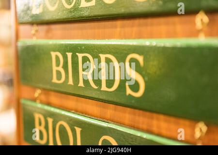 Inneneinrichtung der Buchhandlung in Hay on Wye in Herefordshire, England. Stockfoto