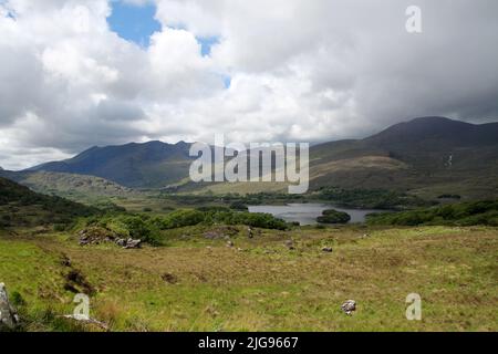 Ladies View, berühmter Ring of Kerry Aussichtspunkt in Irland Stockfoto