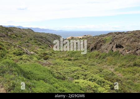 Blick auf die grüne Landschaft und das Meer in Cadaques Spanien Stockfoto