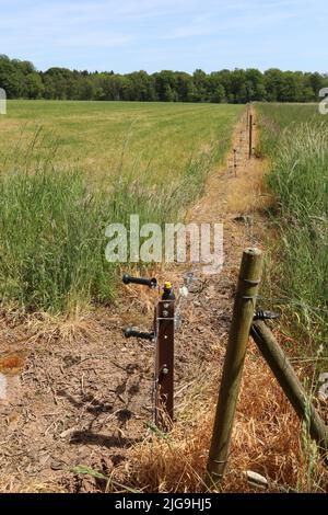 Unbefestigte Straße Weg neben einem Zaun von Wiese in der Natur Stockfoto