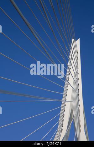 Die Erasmus-Brücke über den Fluss Nieuwe Maas, Rotterdam, Niederlande Stockfoto