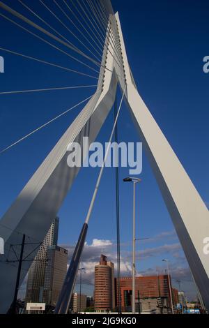 Die Erasmus-Brücke über den Fluss Nieuwe Maas, Rotterdam, Niederlande Stockfoto
