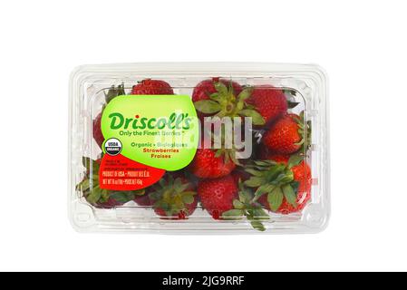 IRVINE, KALIFORNIEN - 23 JUN 2022: Ein 16 Unzen Paket von Driscolls Bio-Erdbeeren. Stockfoto