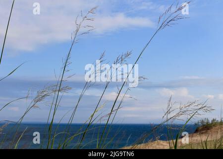 Wind Zieht Über Den Lake Michigan Stockfoto