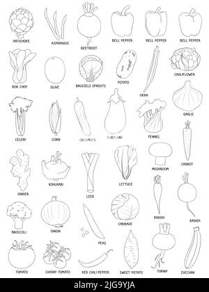 Sammlung von verschiedenen handgezeichneten Gemüse, schwarze Umrisse isoliert auf weißem Hintergrund. Stock Vektor