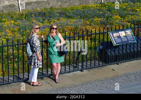 London, Großbritannien. 8.. Juli 2022. Die Besucher genießen die wunderschöne Blumenpracht „Superbloom“, da das kürzlich heiße und sonnige Wetter es den anfangs kämpfenden Pflanzen ermöglicht hat, im Graben des Tower of London zu gedeihen. Zur Feier des Platin-Jubiläums der Königin wurden über 20 Millionen Samen aus einer Vielzahl von blühenden Pflanzen gesät, um bestäubende Insekten zu fördern, wobei einige ausgewählt wurden, die von der Krone des Monarchen inspiriert wurden. Die Ausstellungen werden sich im Laufe der Monate entwickeln, wenn die Besucher erwarten können, im Sommer verschiedene Blumen zu sehen, die in Richtung Herbst gehen. Kredit: Elfte Stunde Fotografie/Alamy Live Neu Stockfoto