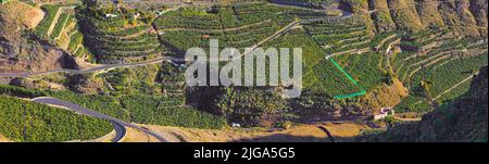 Oberhalb einer landwirtschaftlichen Landschaft im Sommer . Luftaufnahme einer Farm mit üppigem grünen Gras und Bananenplantagen in Los Llanos, La Palma, Spanien Stockfoto