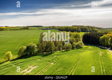 Üppig grüne Landschaft von Jütland, Dänemark mit Copyspace. Nachhaltige, Bio-Bauernhof, ländliche Landschaft von ruhigen Gras, Sträuchern und Bäumen. Friedlich Stockfoto