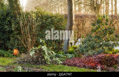 Grüner Wald mit üppigen Sträuchern und bunten Blättern. Schönheit in der Natur mit beruhigenden Blattmustern in einem Garten, Park oder Dschungel. Entspannendes Ambiente im Freien Stockfoto