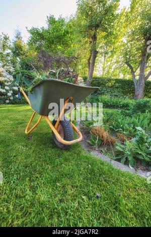 Wartungsgeräte auf gesägtes frisches grünes Gras in einem sauberen Hinterhof, das für Gartenarbeit, Bepflanzung, trockene Blätter und Äste verwendet wird. A Stockfoto