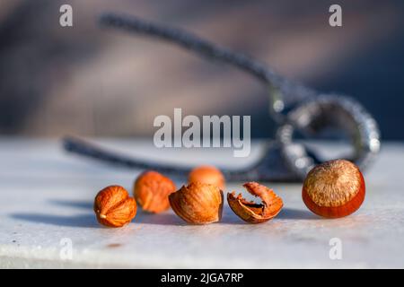 Nebeneinander gezogen; Haselnüsse, Haselnussschalen und Haselnusskerne. Nussknacker im Hintergrund. Stockfoto