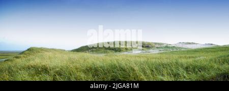 Copyspace mit grünem Gras wächst auf einem leeren Strand oder Düne vor einem blauen Himmel Hintergrund. Landschaftlich reizvolle Küste für Reisen und Tourismus zu erkunden. Sandy Stockfoto